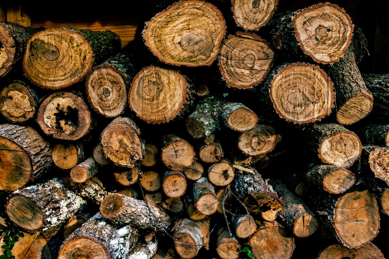 Top Maintenance Tips for Parquet Floors